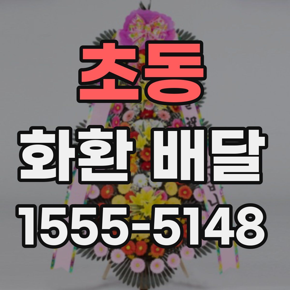 초동 화환 배달