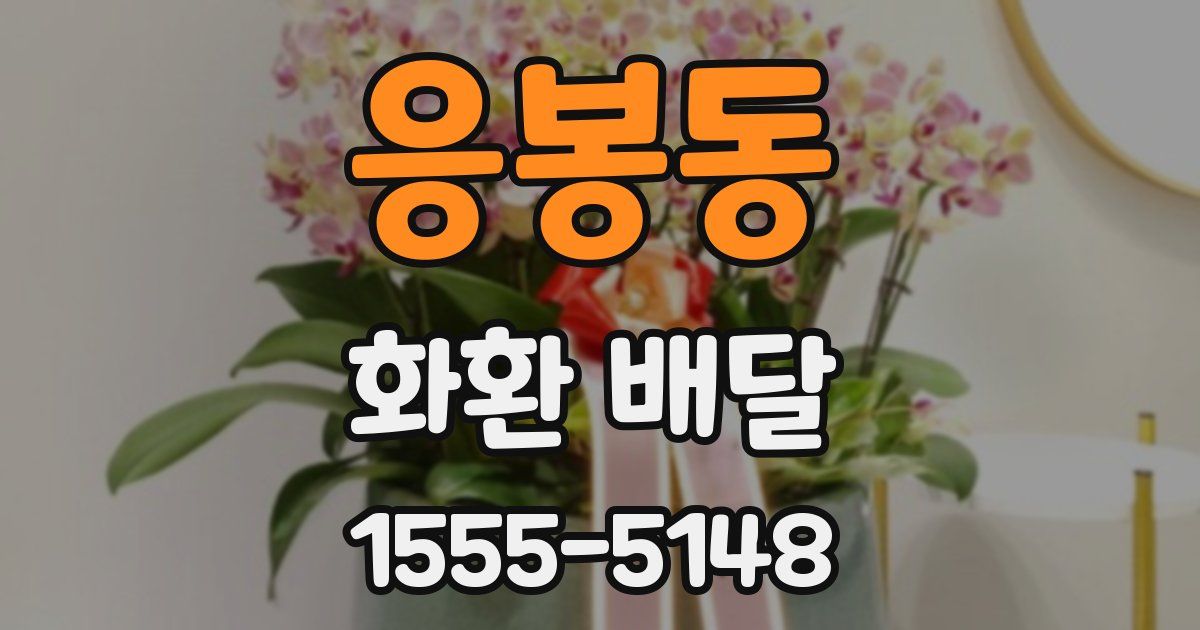 응봉동 화환 배달