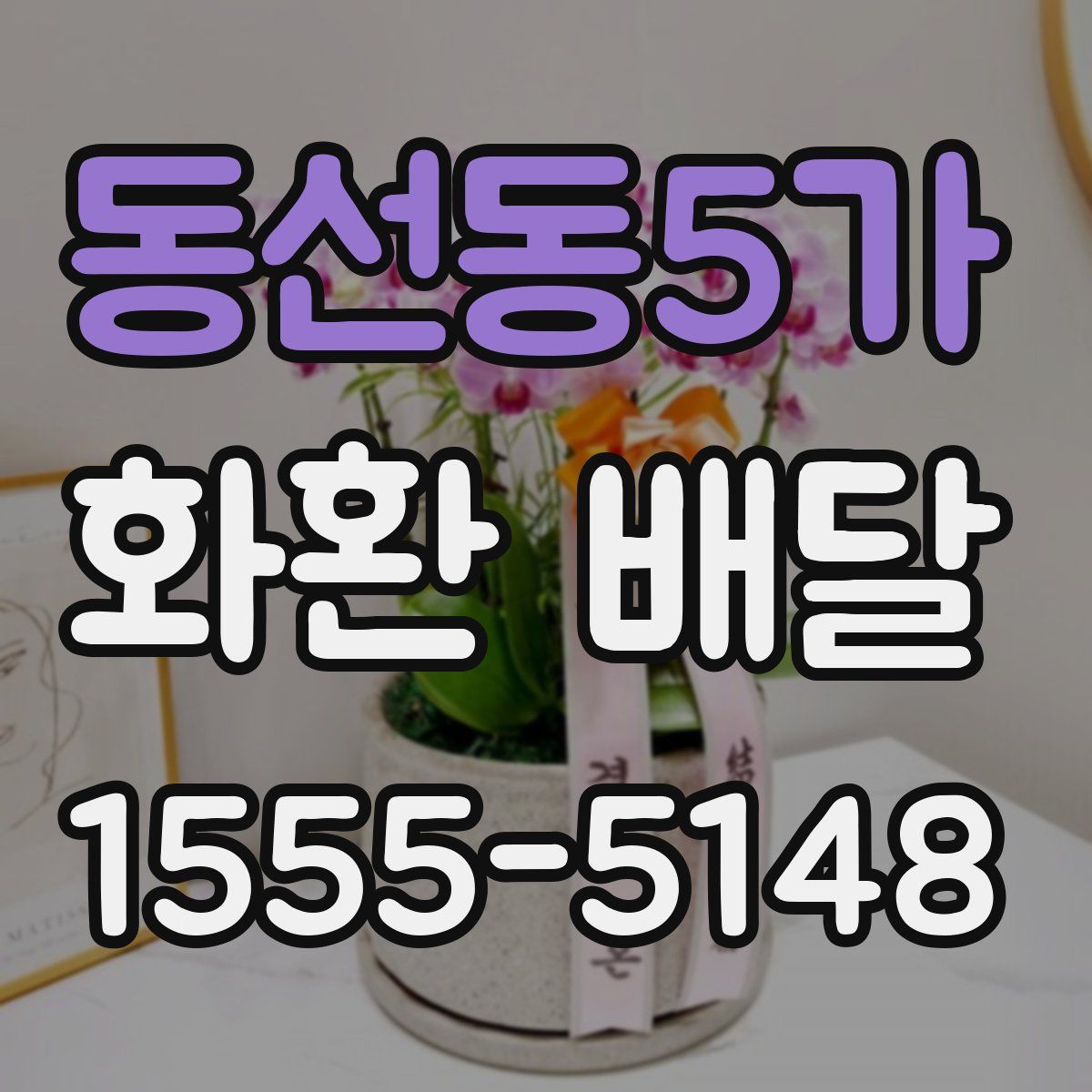 동선동5가 화환 배달
