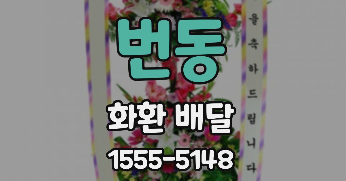 번동 화환 배달