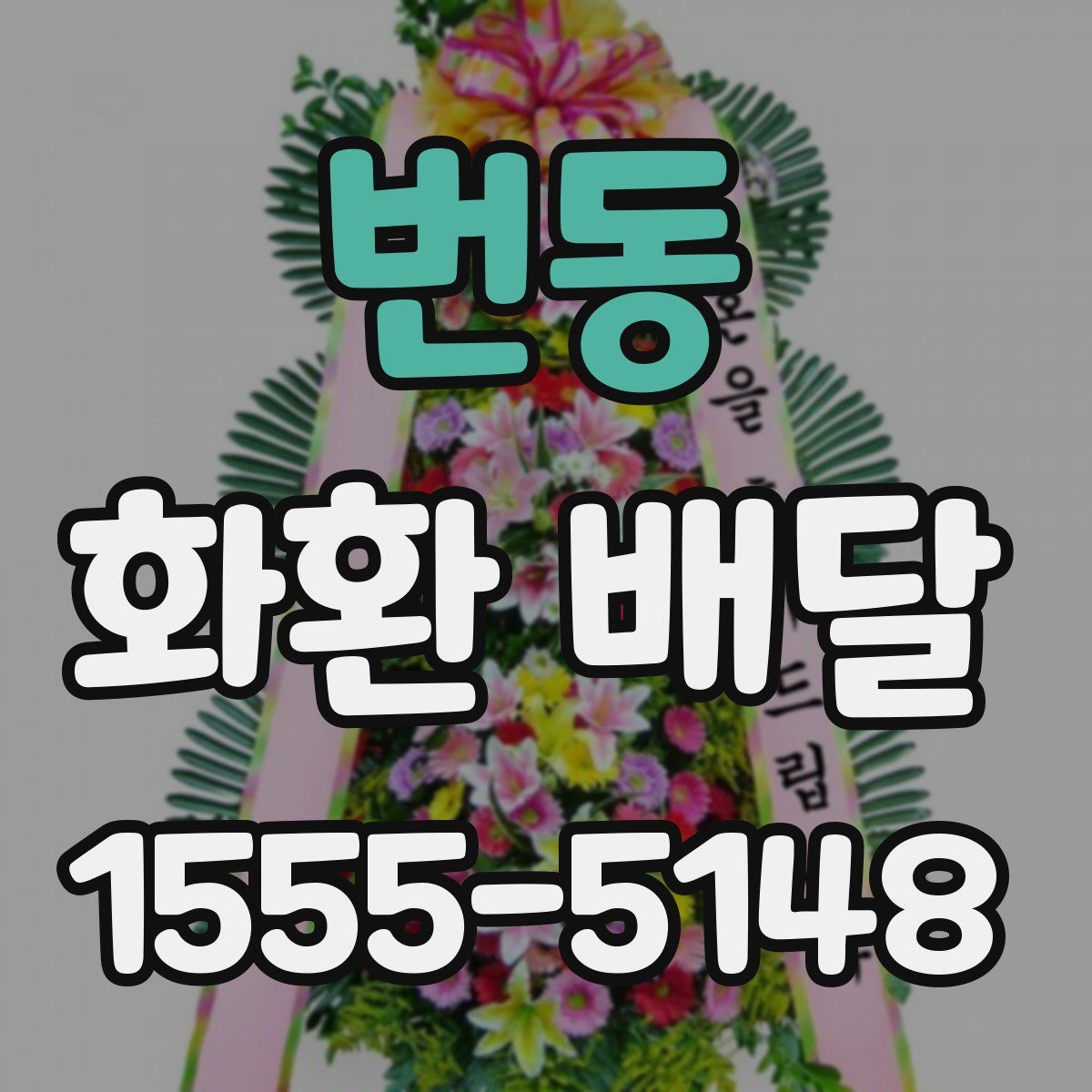 번동 화환 배달