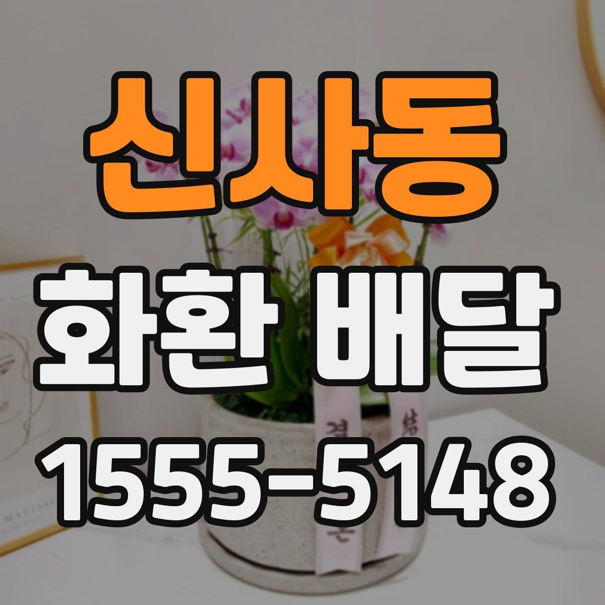 신사동 화환 배달