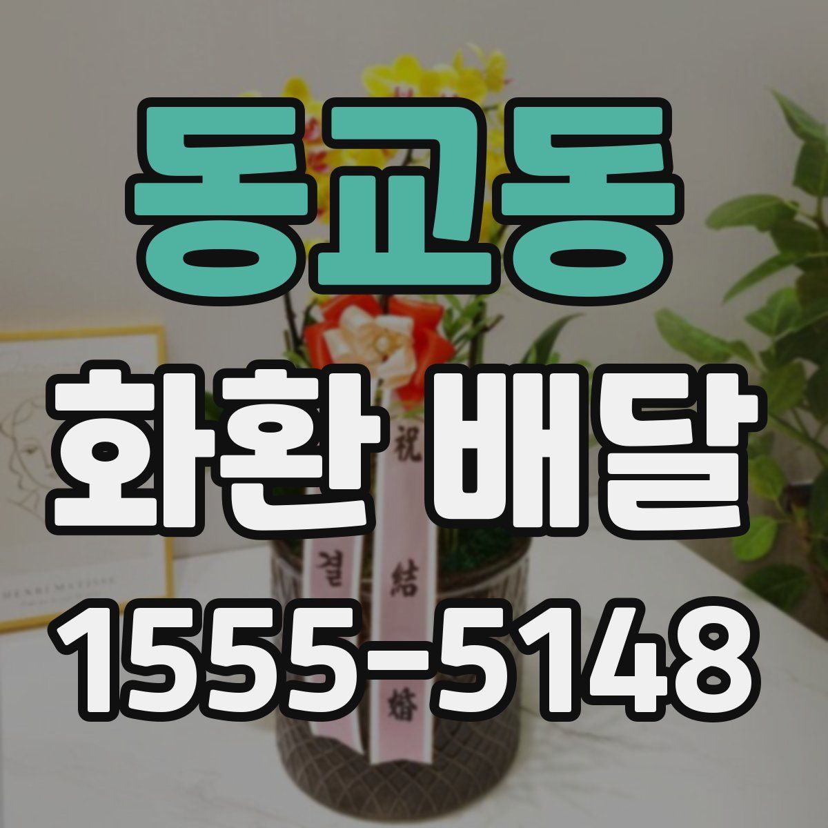 동교동 화환 배달