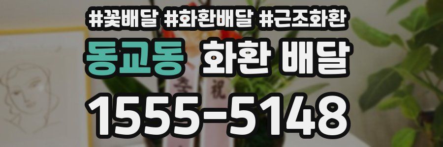동교동 화환 배달