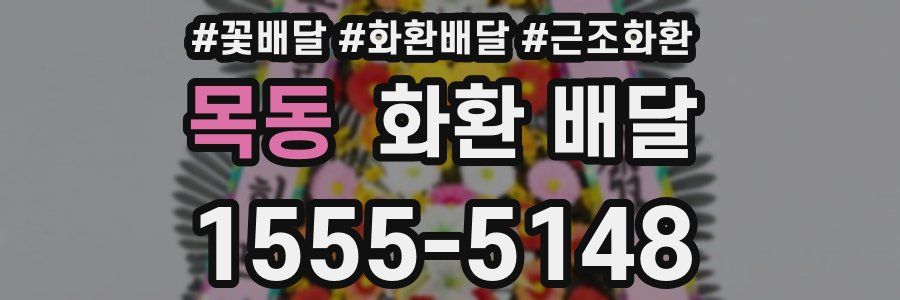 목동 화환 배달