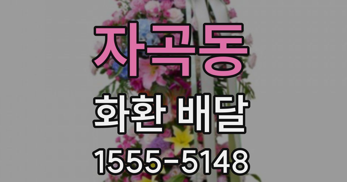 자곡동 화환 배달