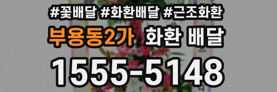 부용동2가 화환 배달