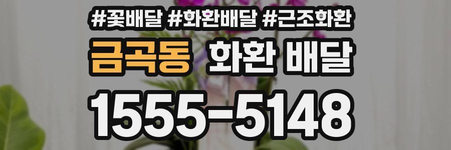 금곡동 화환 배달