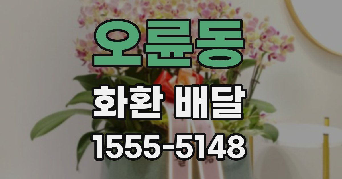 오륜동 화환 배달