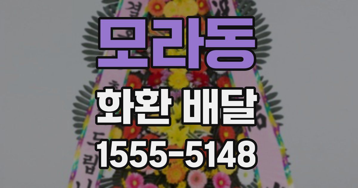 모라동 화환 배달