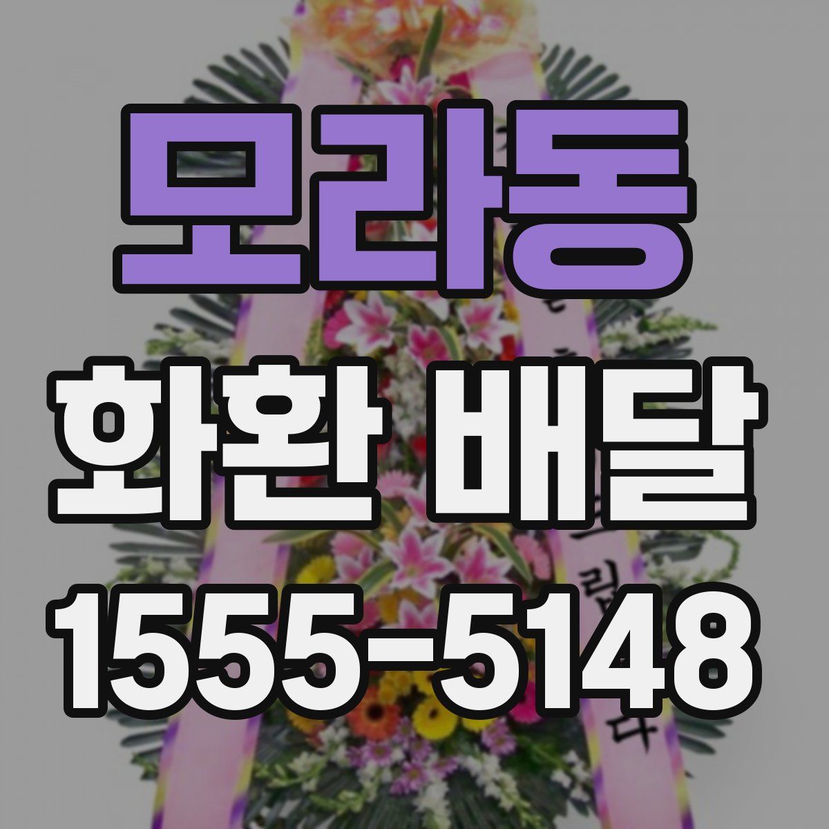 모라동 화환 배달