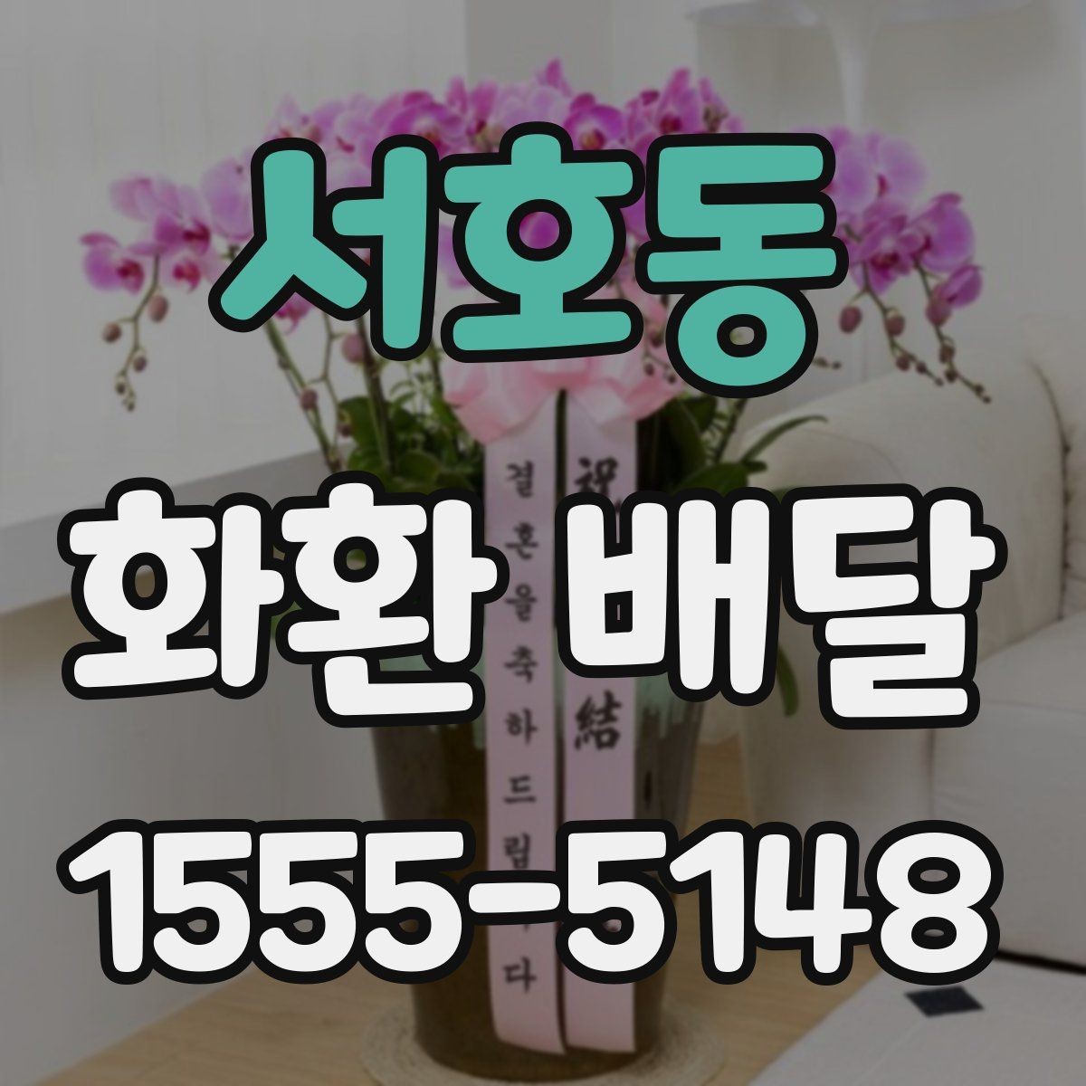서호동 화환 배달 업체 후기 볼 때 체크할 핵심 내용