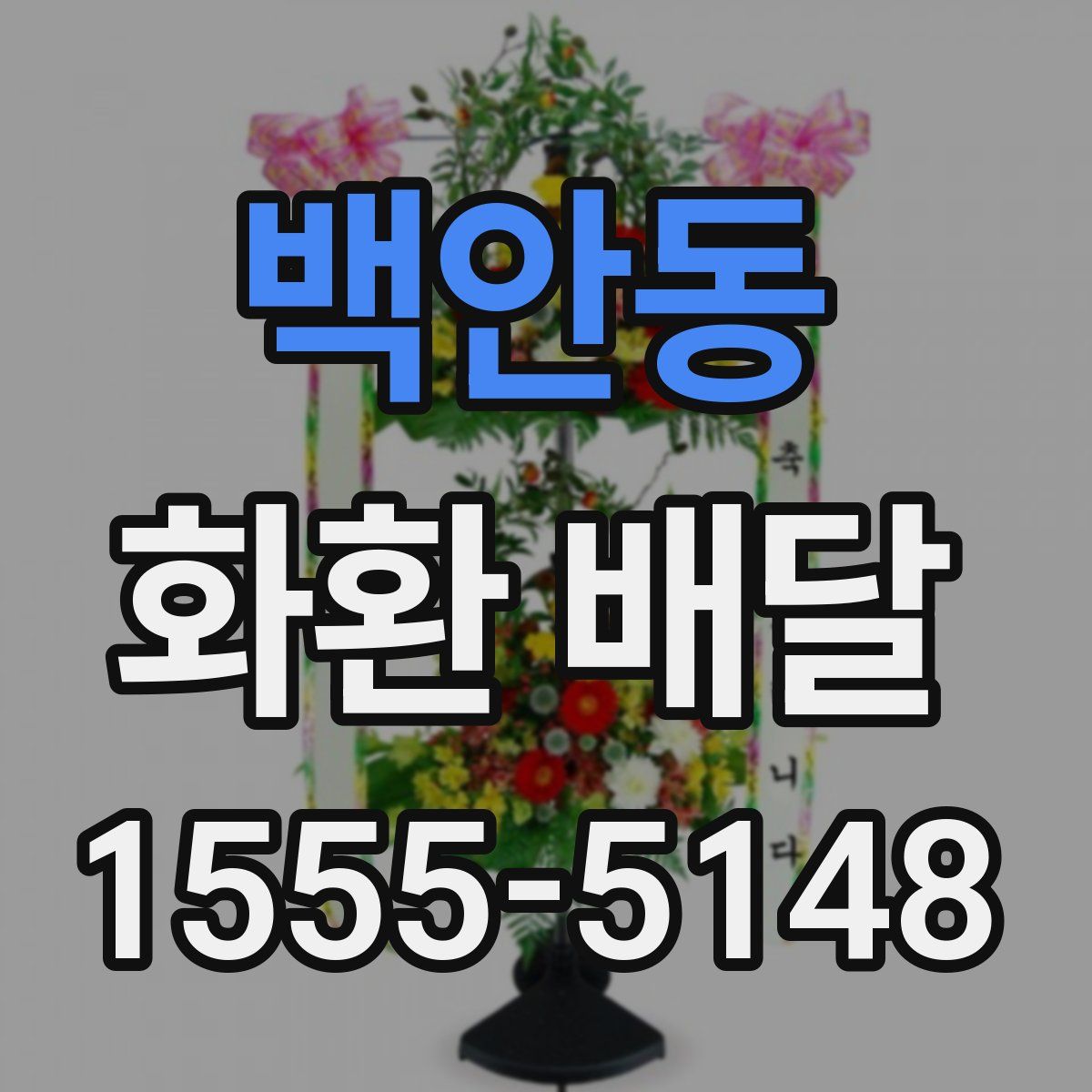 백안동 화환 배달