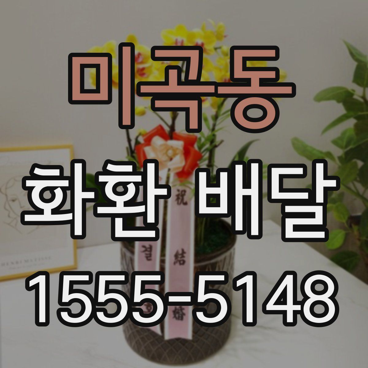 미곡동 화환 배달