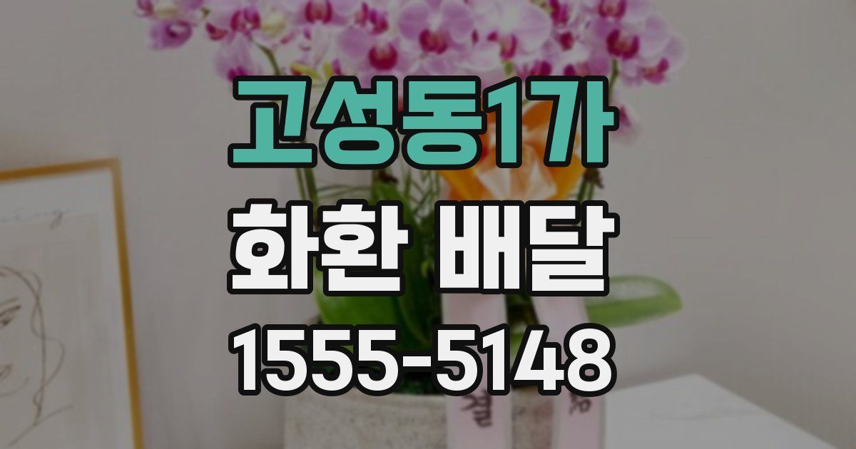 고성동1가 화환 배달