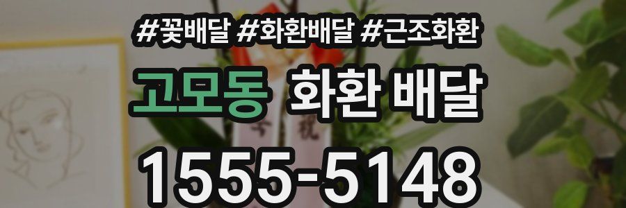 고모동 화환 배달