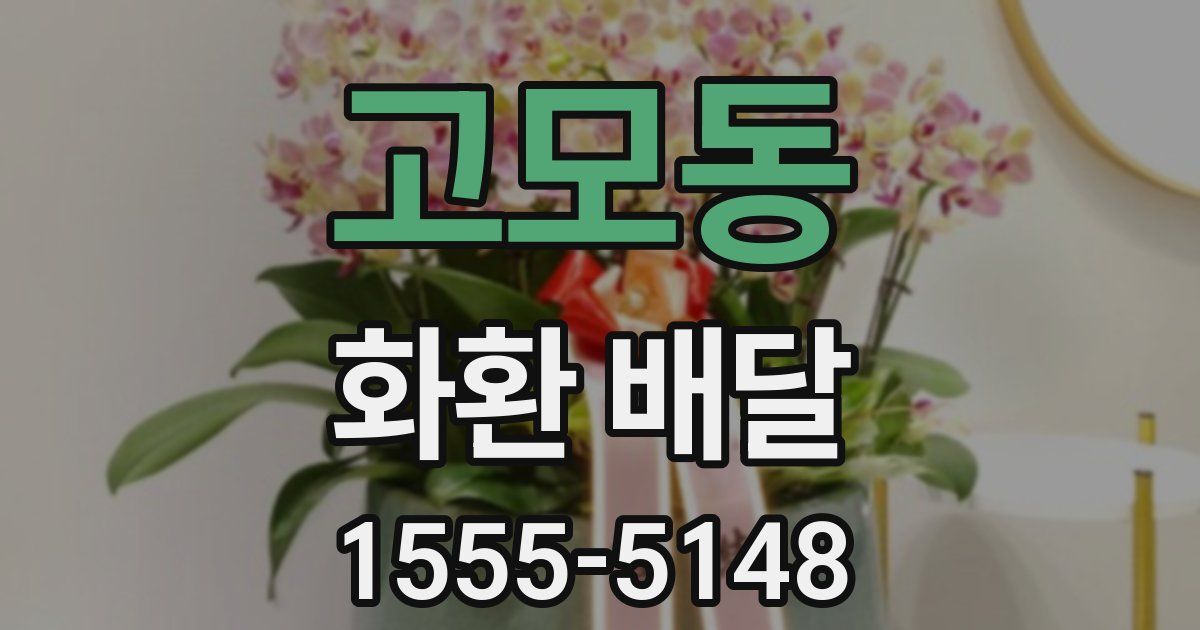 고모동 화환 배달