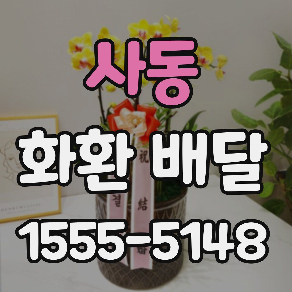 사동 화환 배달