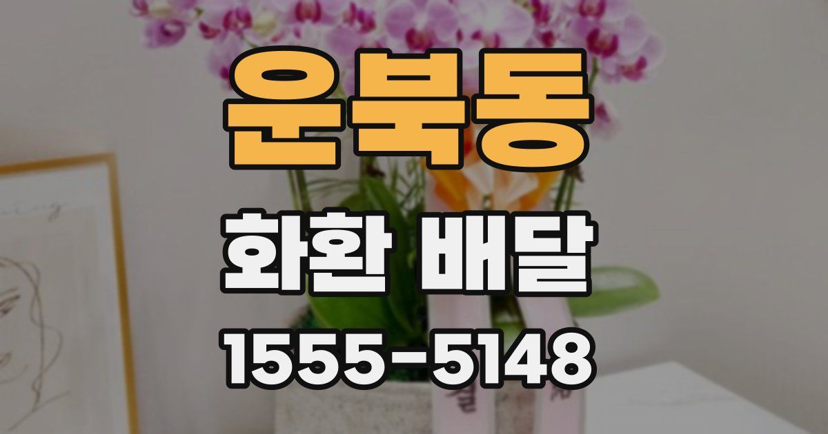 운북동 화환 배달