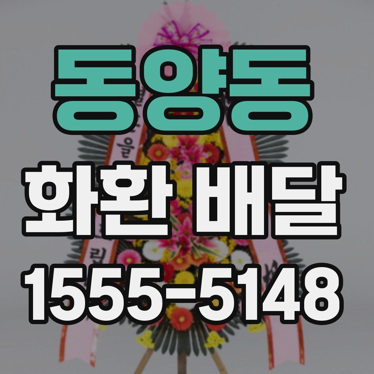 동양동 화환 배달