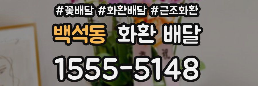 백석동 화환 배달