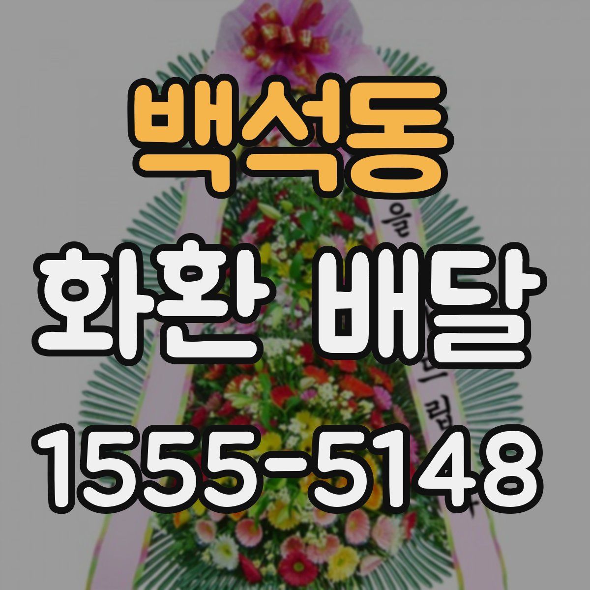 백석동 화환 배달