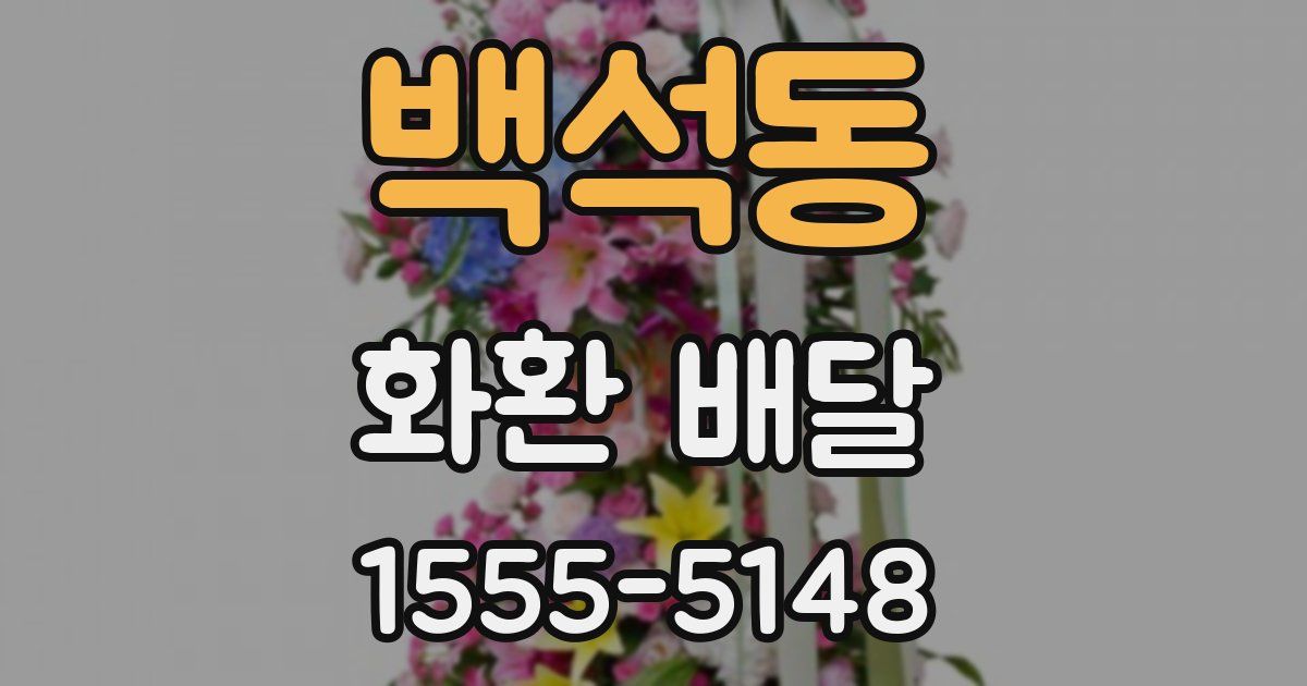 백석동 화환 배달