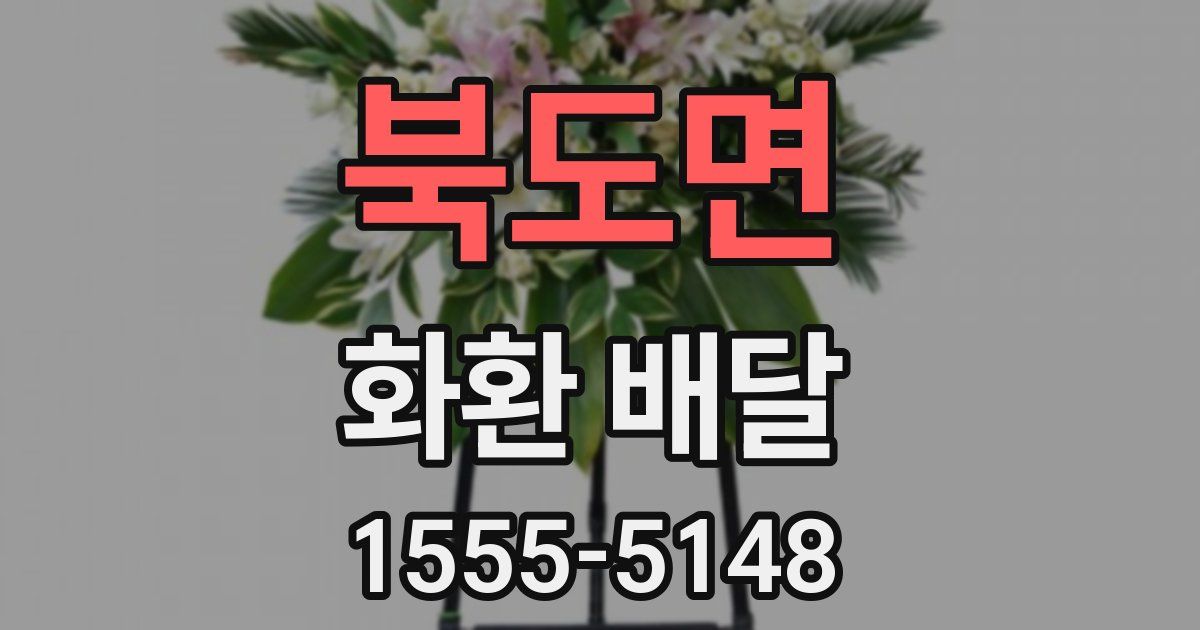 북도면 화환 배달