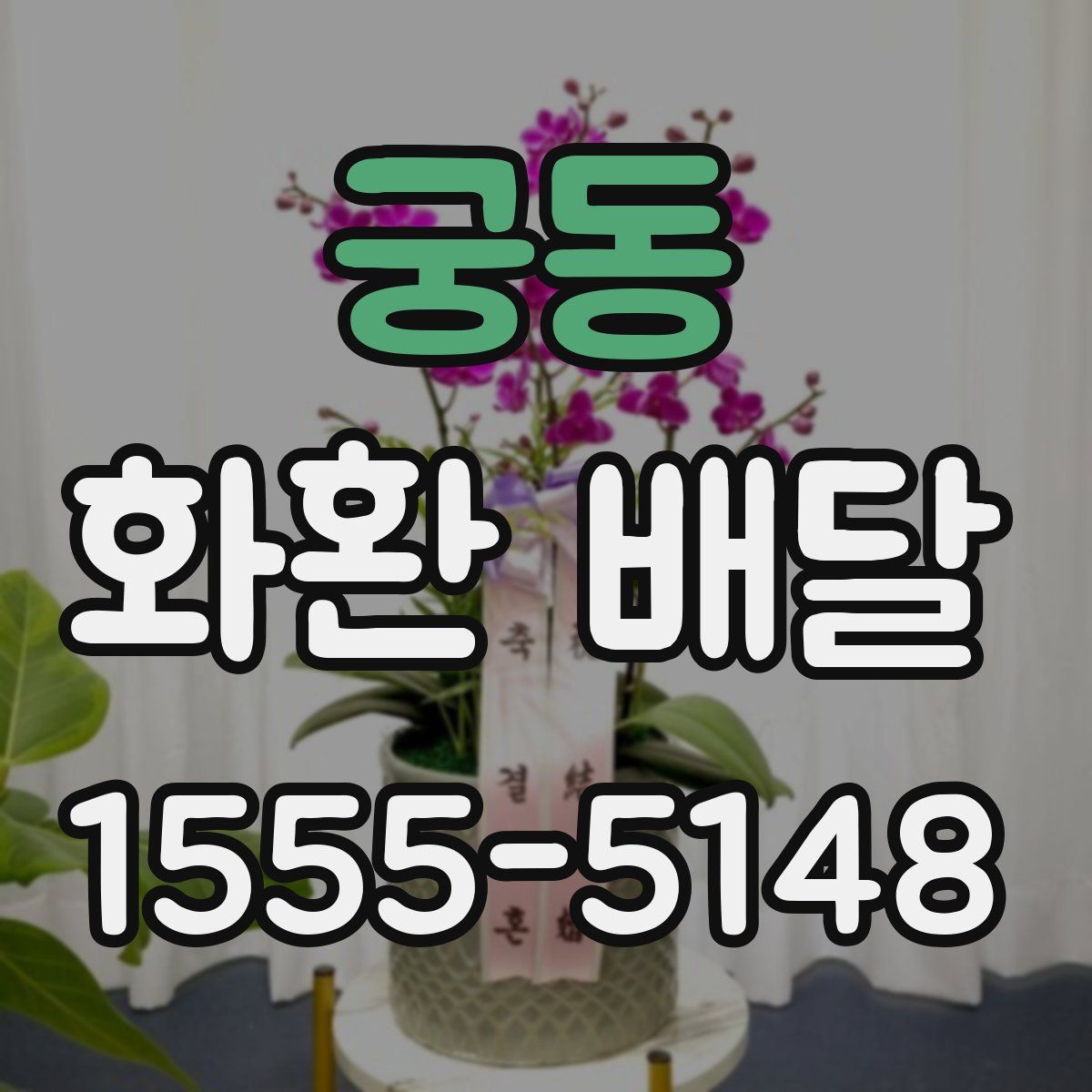 궁동 화환 배달