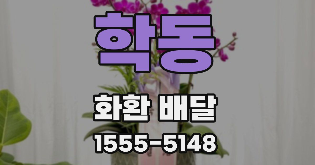 학동 화환 배달
