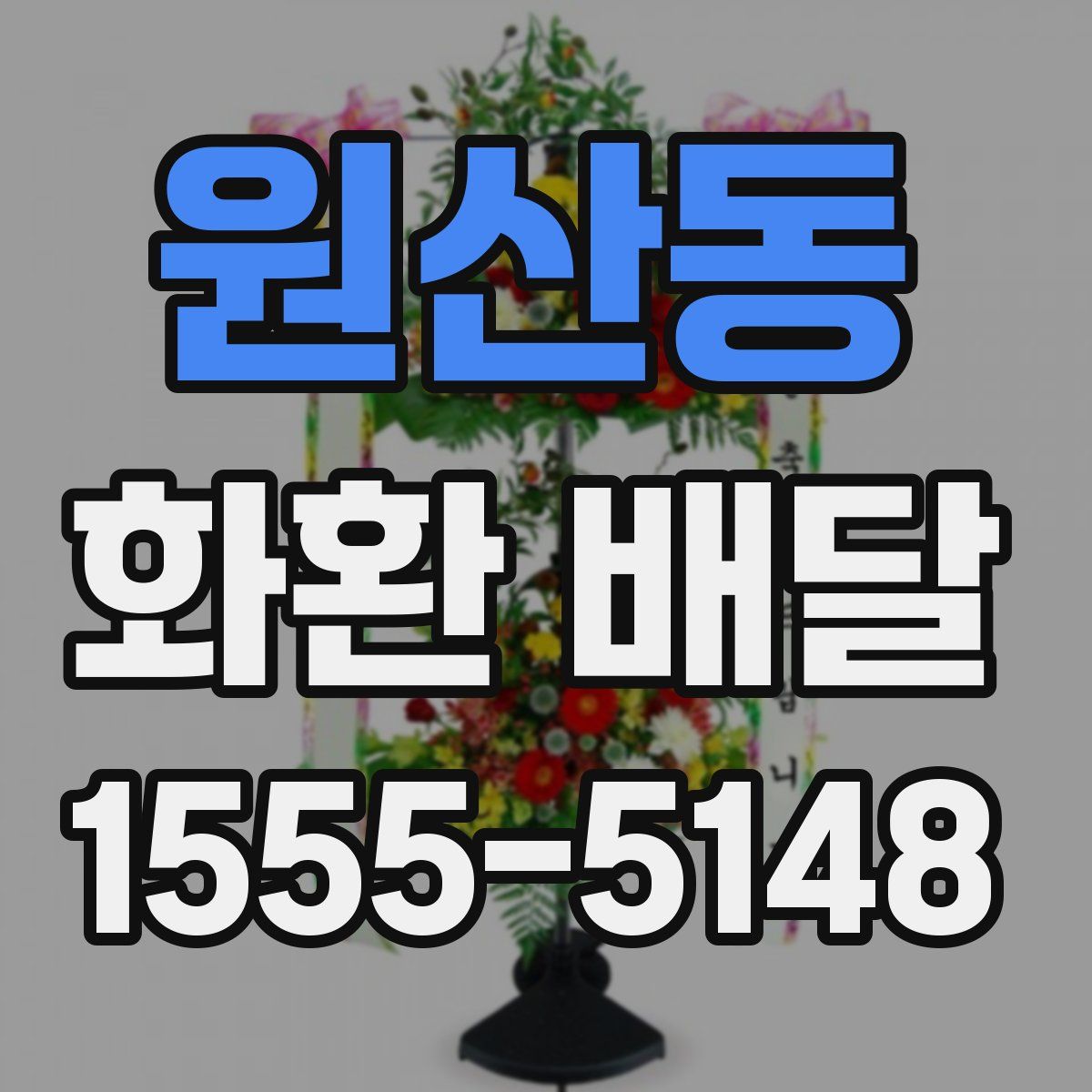 원산동 화환 배달