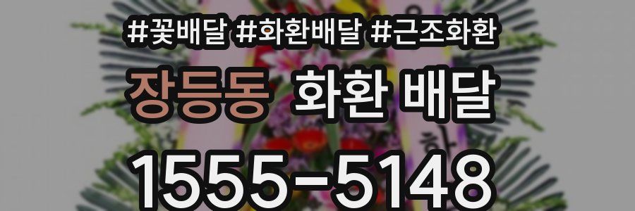 장등동 화환 배달