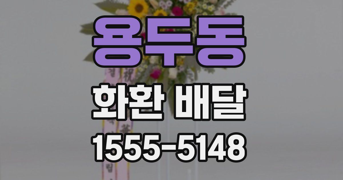 용두동 화환 배달