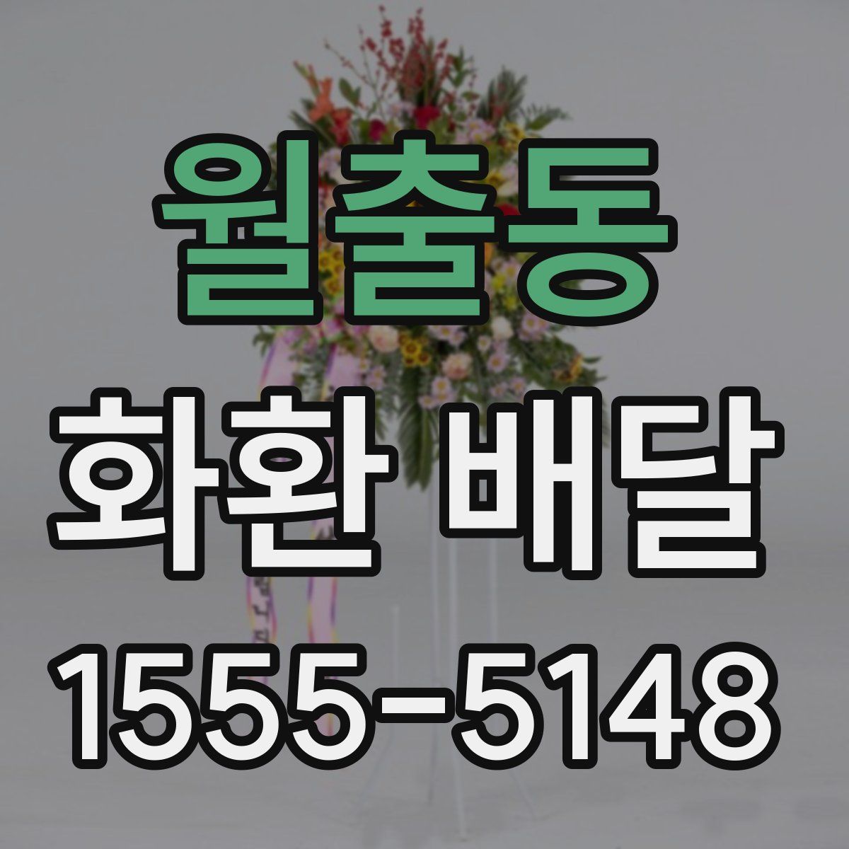 월출동 화환 배달