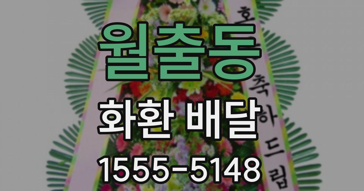 월출동 화환 배달