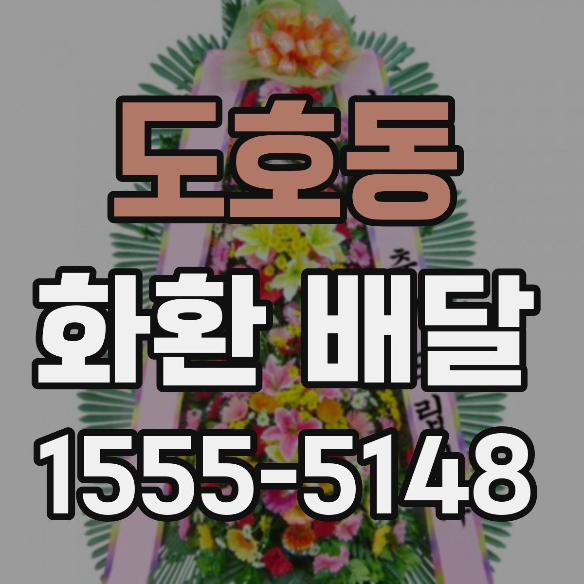 도호동 화환 배달
