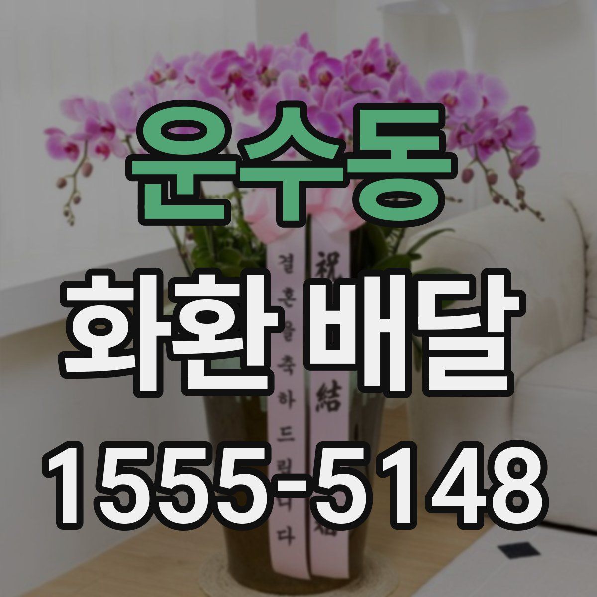운수동 화환 배달