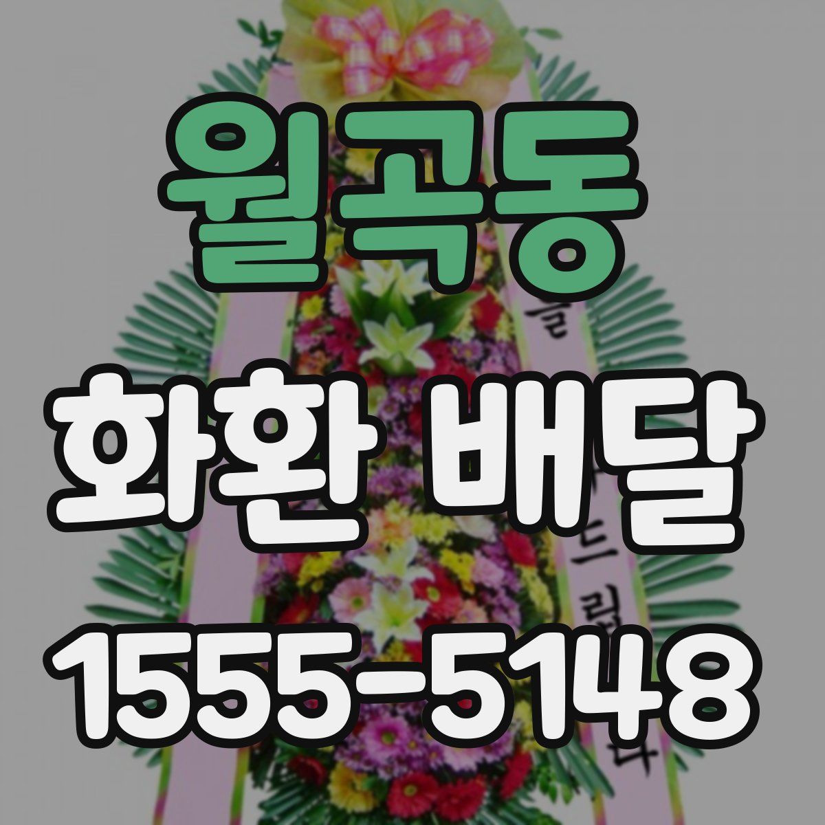 월곡동 화환 배달