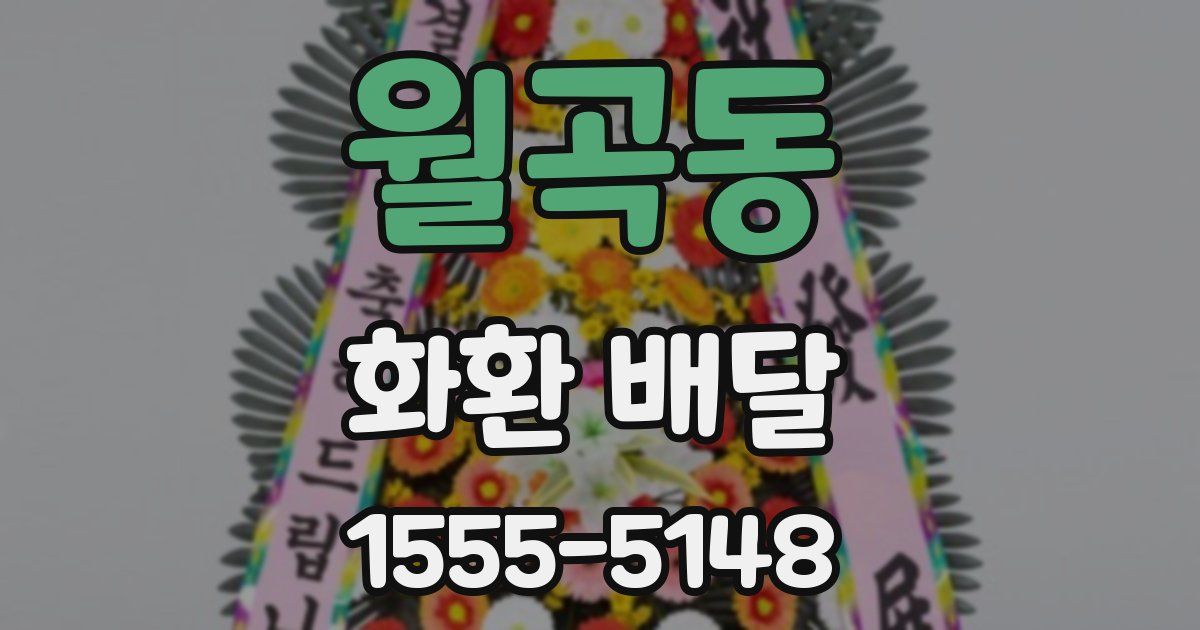 월곡동 화환 배달