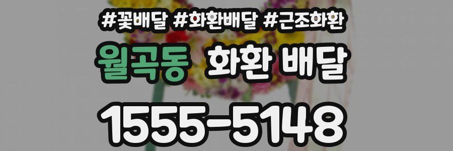 월곡동 화환 배달