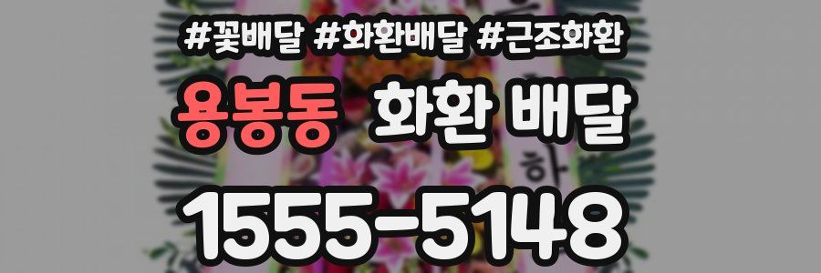 용봉동 화환 배달