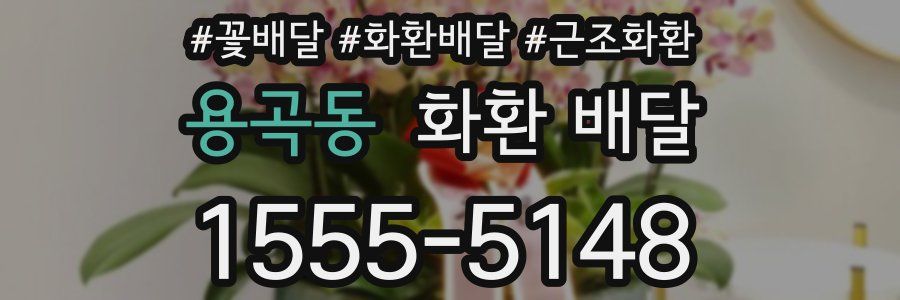 용곡동 화환 배달