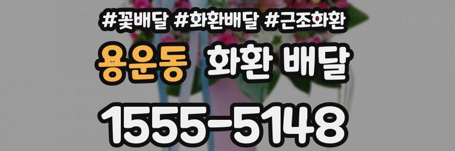 용운동 화환 배달