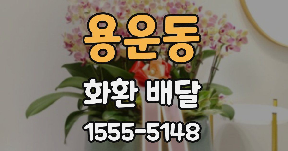 용운동 화환 배달