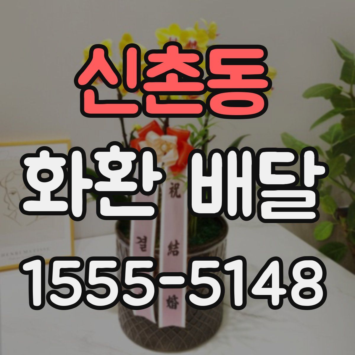 신촌동 화환 배달