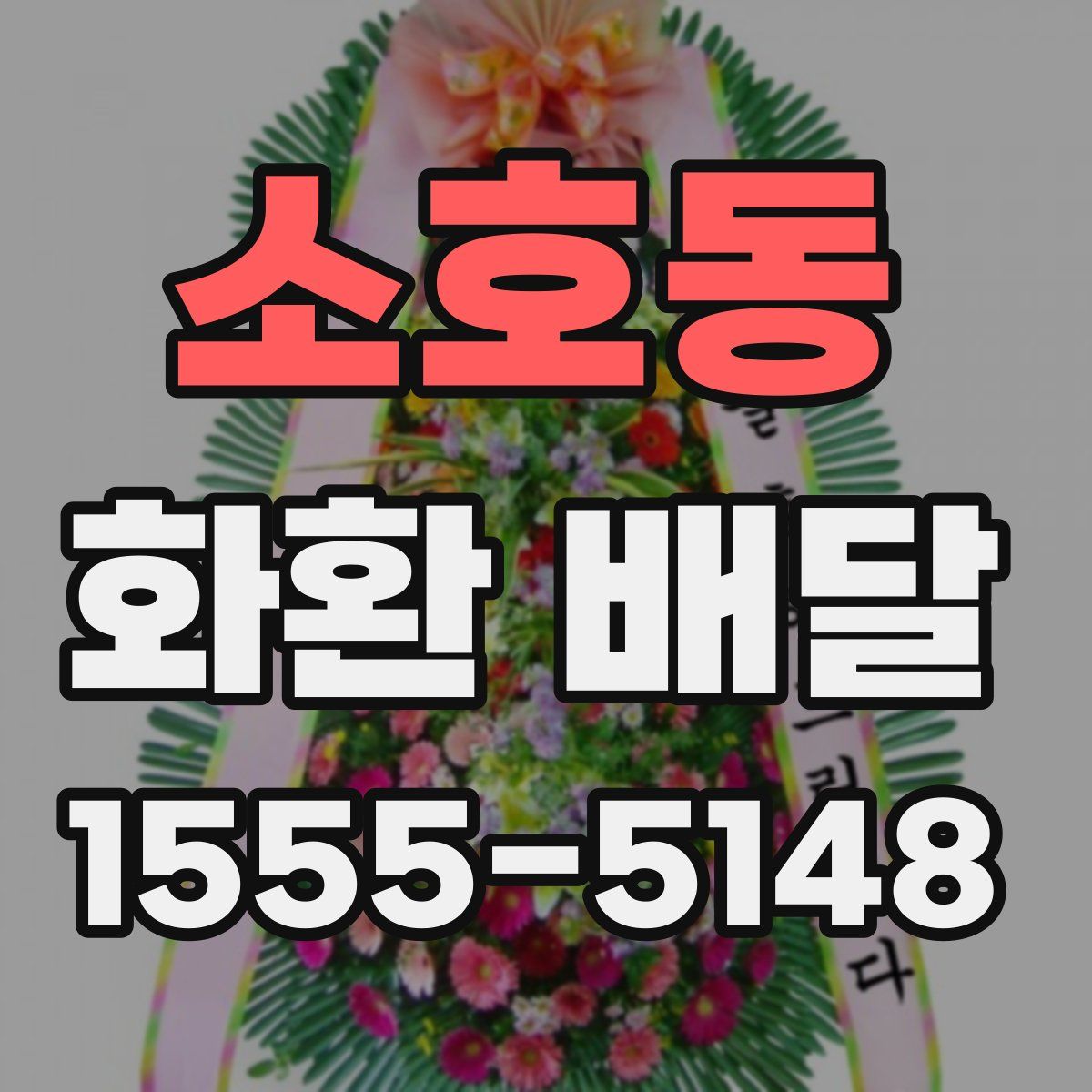 소호동 화환 배달