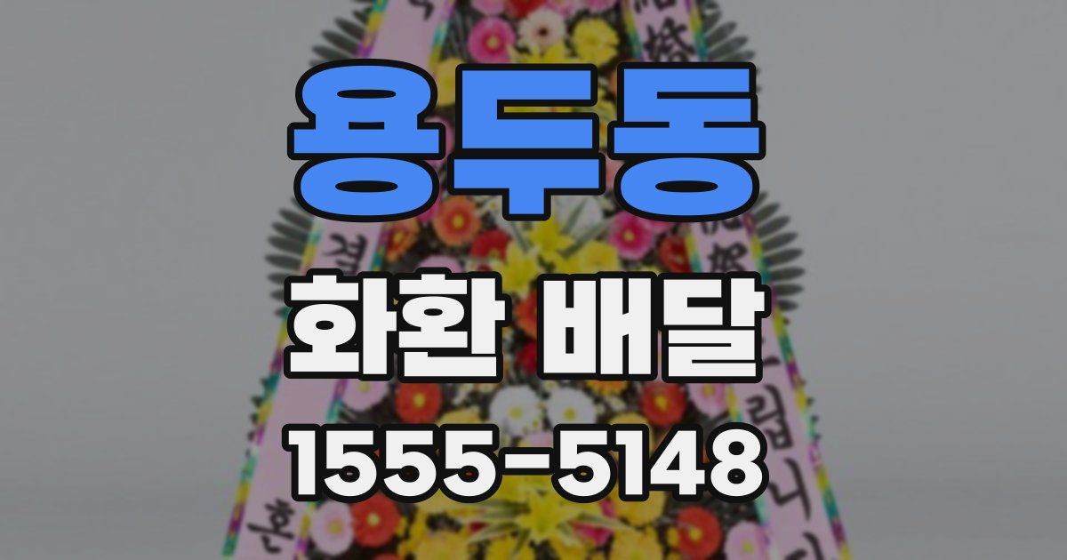 용두동 화환 배달