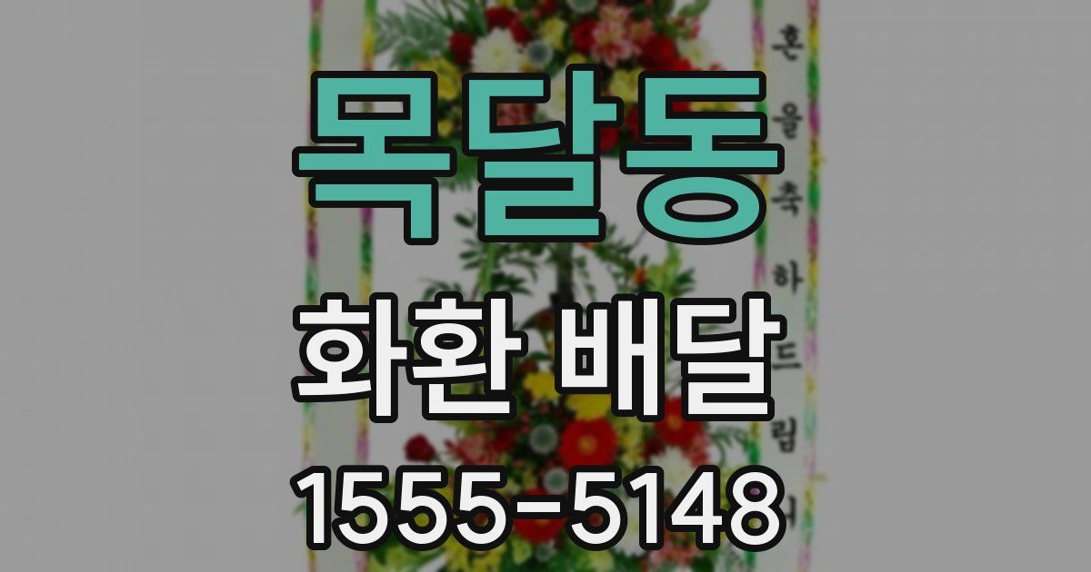목달동 화환 배달