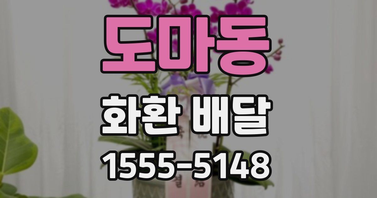 도마동 화환 배달