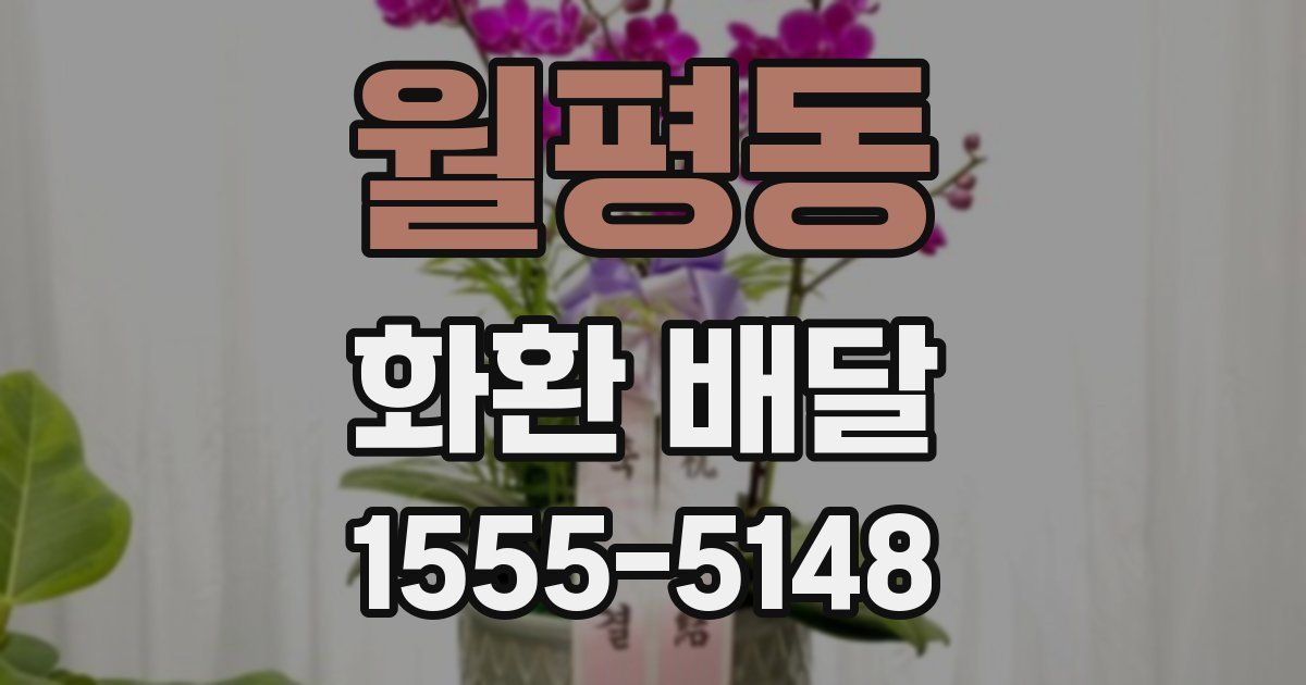 월평동 화환 배달